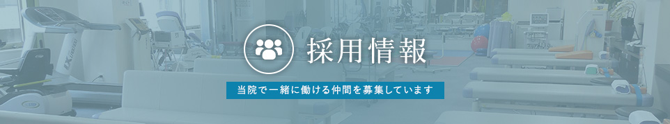 採用情報